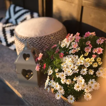 Apartament Deluxe No.8